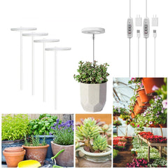 Angel Ring Grow Light