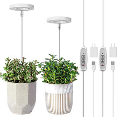 Angel Ring Grow Light