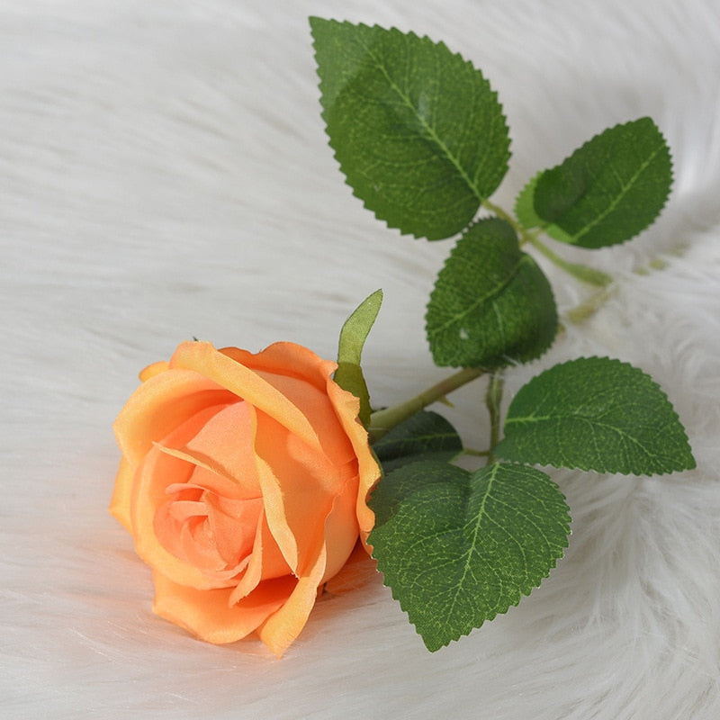 46859915854108|46859915919644