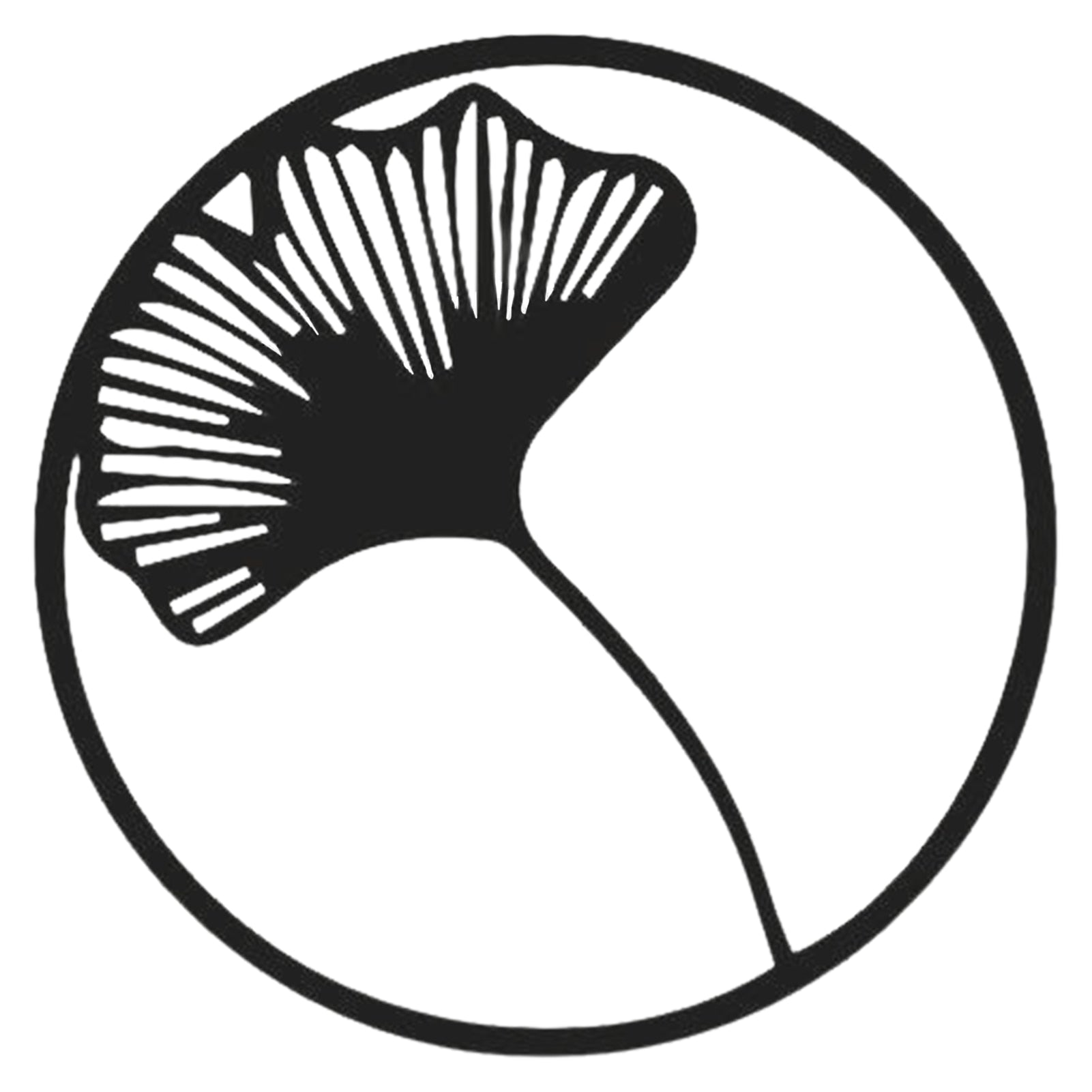 46845416538396|46845416571164