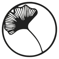 46845416538396|46845416571164