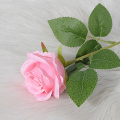 46859915985180|46859916050716