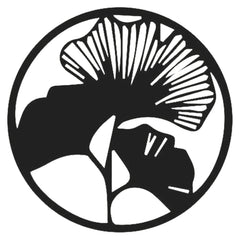 46845416603932|46845416636700