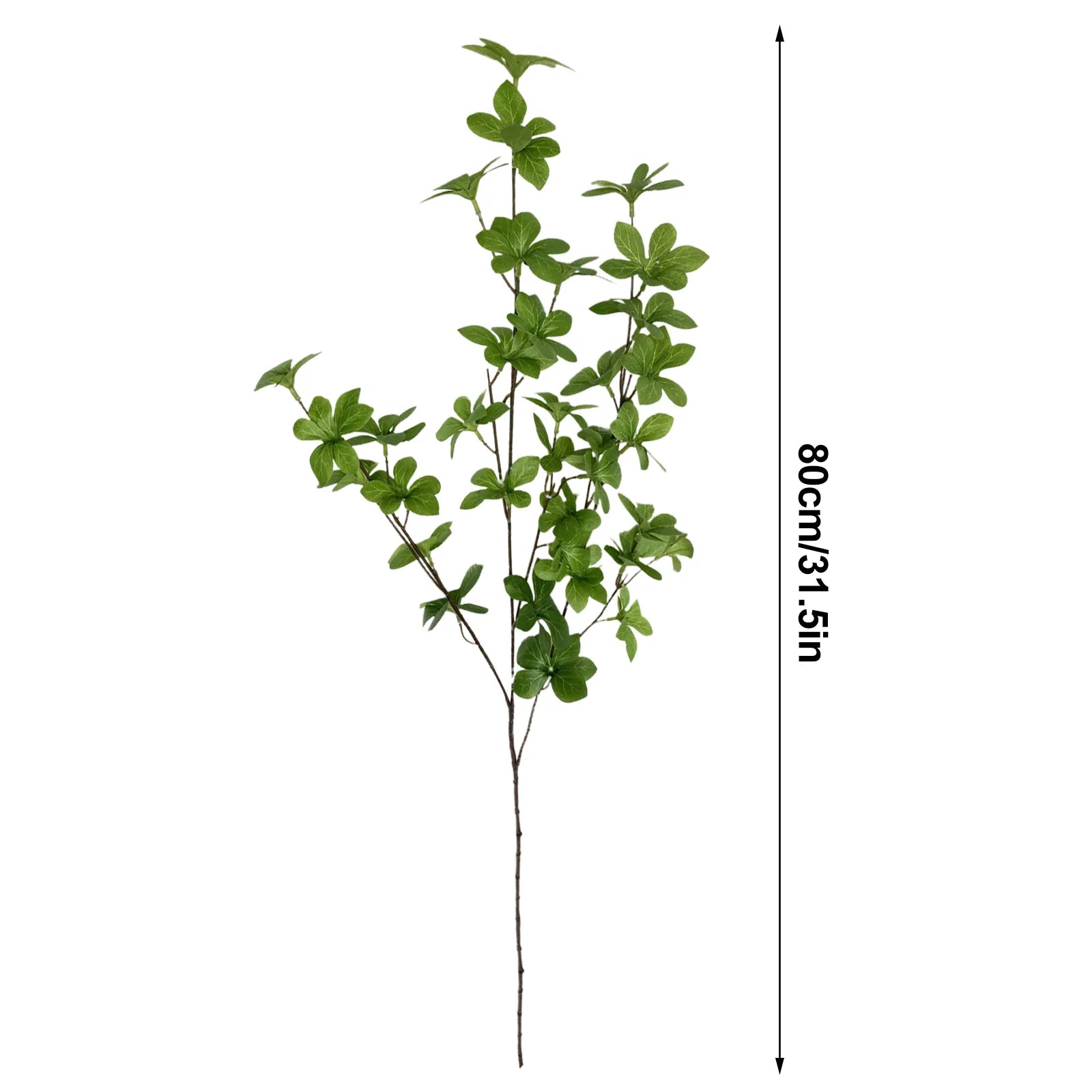 46858622664988|46858622730524