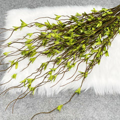 Curly Willow Branches Decor